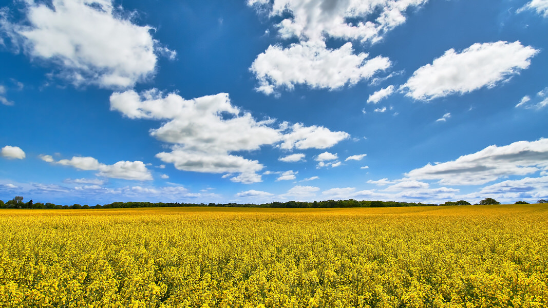 H wie Himmel über Schleswig-Holstein (bei Eckernförde)
