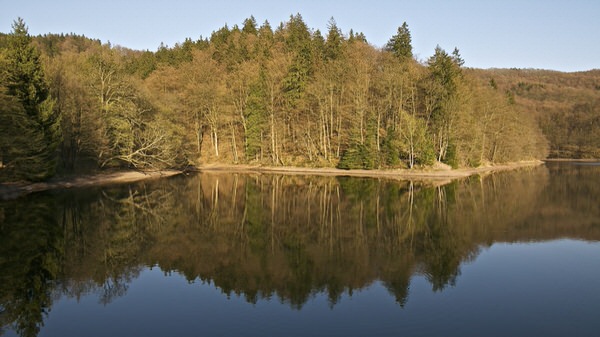 Wiesenbeker Teich: Bad Lauterberg, Harz